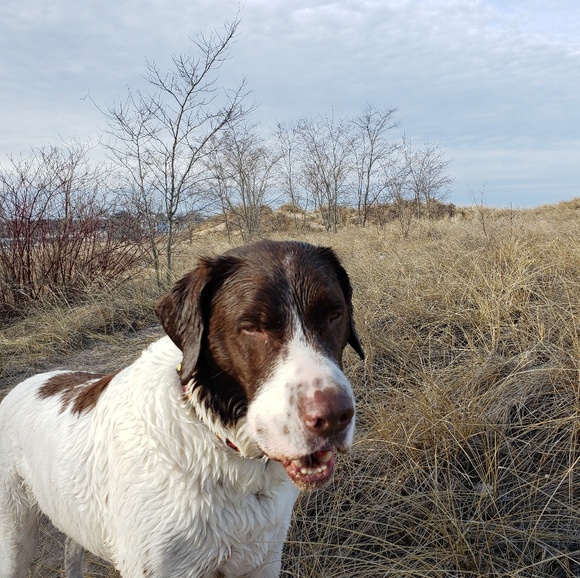 Meet your Posher, Mary jo - Picture 1 of 1